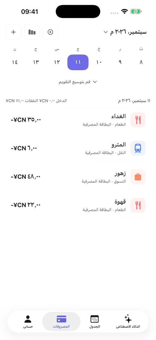 دخل ومصروفات اليوم