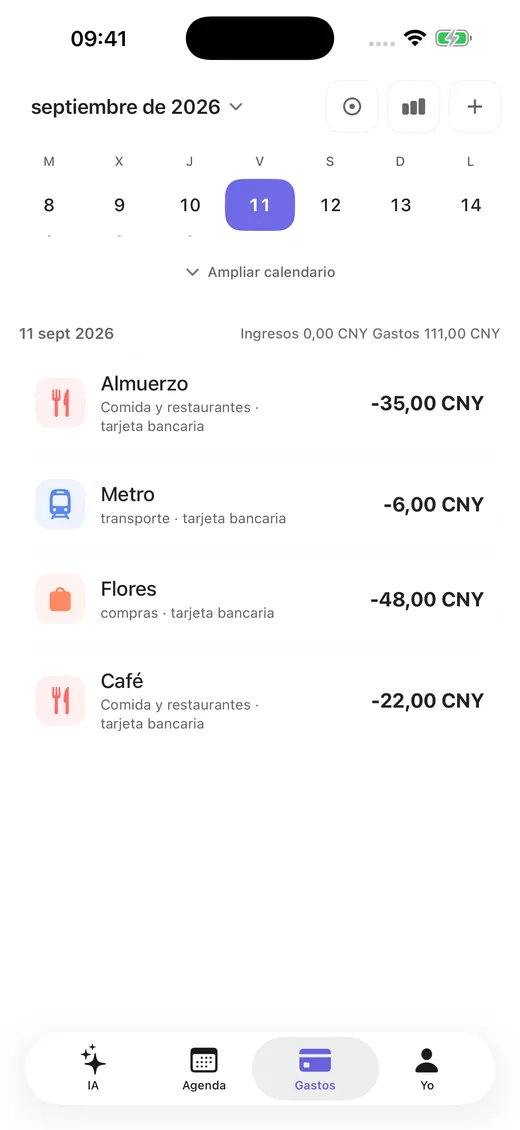 Ingresos y gastos del día